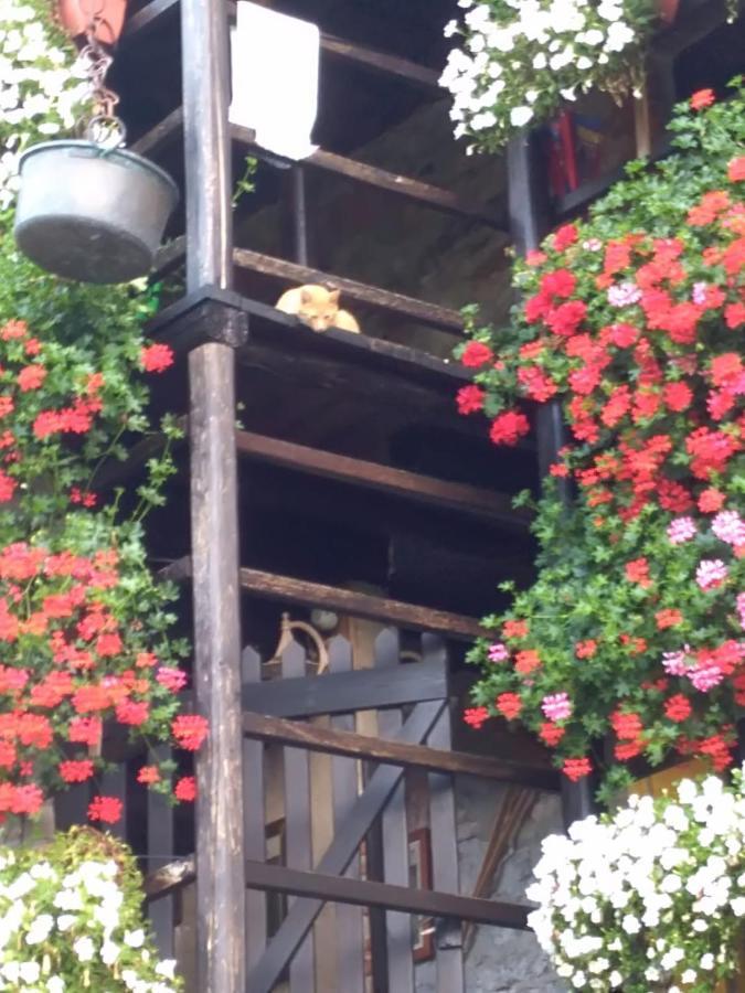 B&B "La Baita Delle Coccinelle" Varallo Eksteriør billede