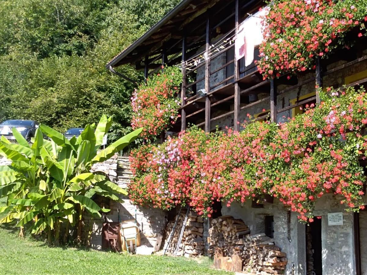 B&B "La Baita Delle Coccinelle" Varallo Eksteriør billede